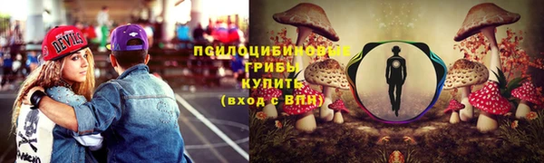 mix Вяземский