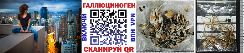 где купить наркотик  Невельск  Галлюциногенные грибы Psilocybe 